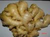 CHINA FRESH SEMI AIR DRIED GINGER 7