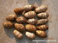 FRESH TARO (EDDOES) 14