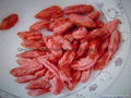 Organic Goji berry 1