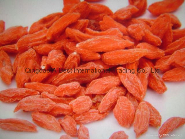 Organic Goji berry 3