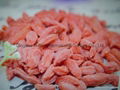 Organic Goji berry 15