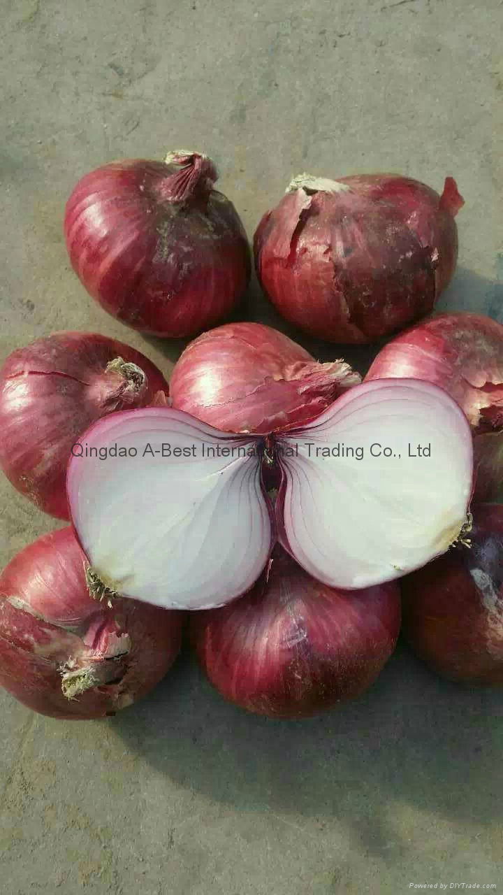 FRESH RED ONION 3