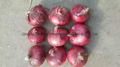 2022 new crops fresh red onion bulbs 1