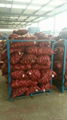 2022 new crops fresh red onion bulbs 8