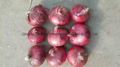   RED ONIONS 4