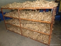 2024 Air dried fresh JUMBO ginger 13