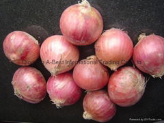 FRESH RED ONION