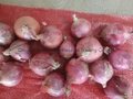 Fresh red onion 6