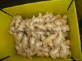 2024 New crops air dried fresh ginger 2