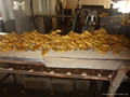 2024 New crops air dried fresh ginger 14