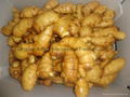  Chinese Fresh Ginger