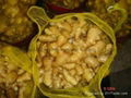  Chinese Fresh Ginger 11