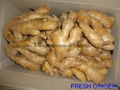 Semi-Air dried fresh ginger