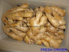 Semi-Air dried fresh ginger