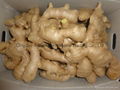 Semi-Air dried fresh ginger