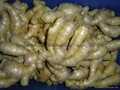 Air dry ginger 3