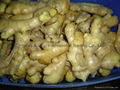 Chinese Fresh Ginger