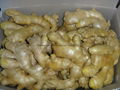 Chinese Fresh Ginger