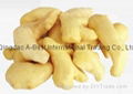 FROZEN GINGER PRODUCTS 1