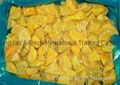 FROZEN SWEET POTATO PRODUCTS 1