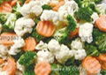 FROZEN MIXED VEGETABLE