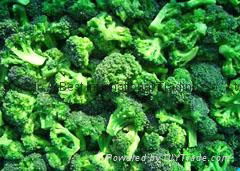 速凍綠花菜 (西蘭花） 2