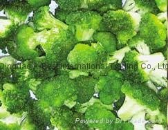 速凍綠花菜 (西蘭花）