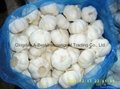 Organic PURE WHITE Fresh Garlic