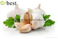  FRESH DER KNOBLAUCH,PURE WHITE GARLIC 3