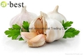  FRESH DER KNOBLAUCH,PURE WHITE GARLIC