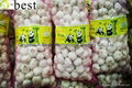 2017 Chinese new crops Fresh Garlic,NORMAL WHITE