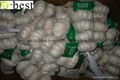 2017 Chinese new crops Fresh Garlic,NORMAL WHITE 18