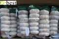  Fresh Garlic 7