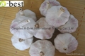  Fresh Garlic 12