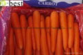 ORGANIC FRESH CARROT 2