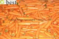 DAUCUS CAROTA （FRESH CARROT） 10