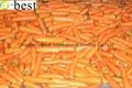 NEW CROPS FRESH CARROT 12