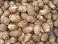 JUMBO TARO  AIR DRIED