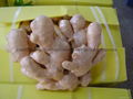 2024 AIR DRIED GINGER 12