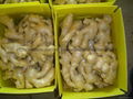 Chinese Jumbo  Fresh Ginger 6