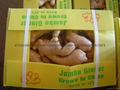 Chinese Jumbo  Fresh Ginger 7