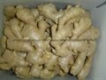  Air dried Ginger