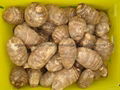 FRESH  TARO (EDDOES) 7