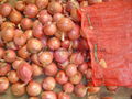 Fresh red onion