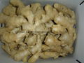 CLEARED AND AIR DRIED GINGER 20