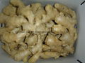 CLEARED AND AIR DRIED GINGER