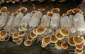 Ganoderma lucidum 11