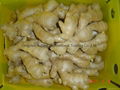  Air dried Ginger 7