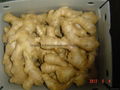  Air dried Ginger 11