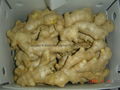  Air dried Ginger 14